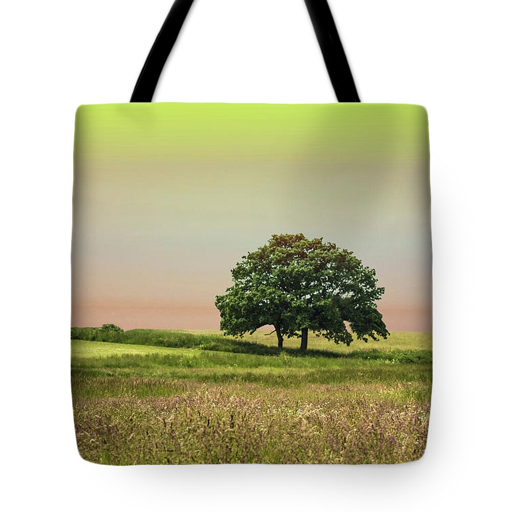 Tree Tote Bag featuring the photograph Summer's Evening by Martin Newman