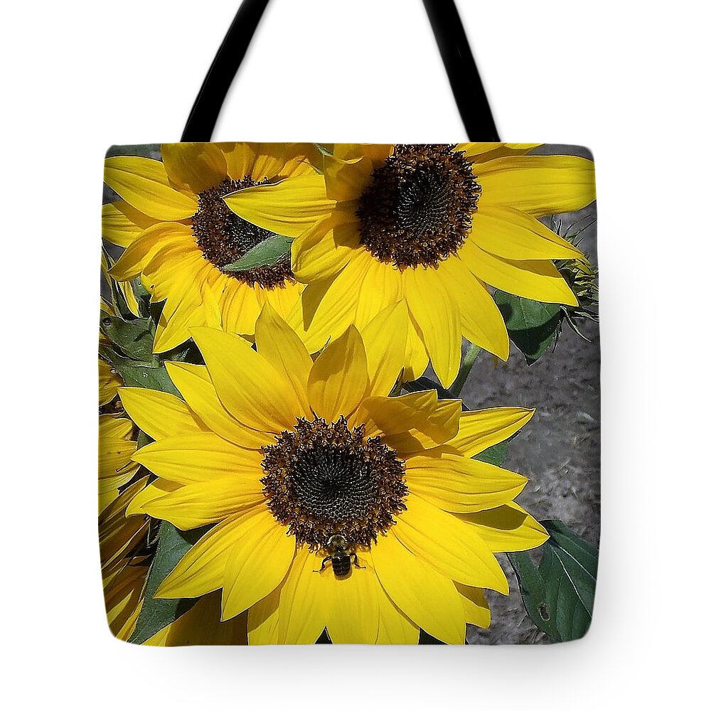 Bees Tote Bag featuring the photograph Sun Buzz by John Glass