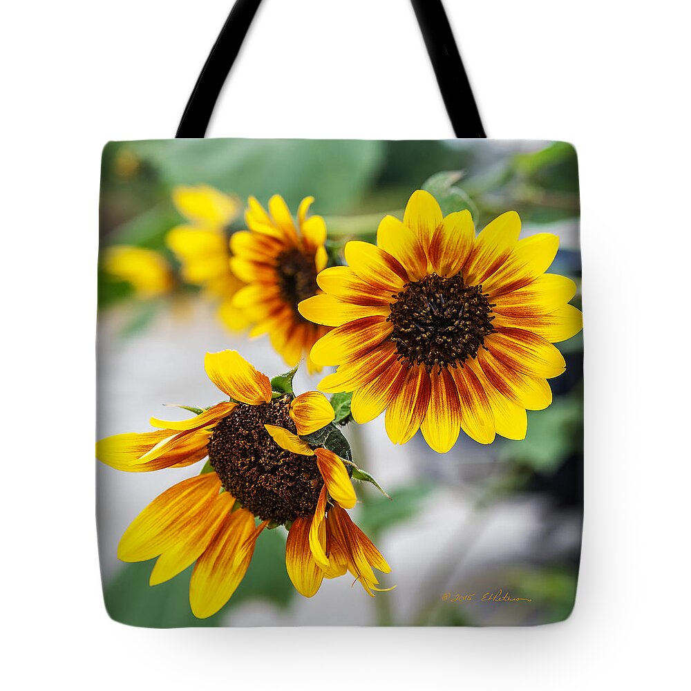 Heron Heaven Tote Bag featuring the photograph Sun Flowers In Bloom by Ed Peterson