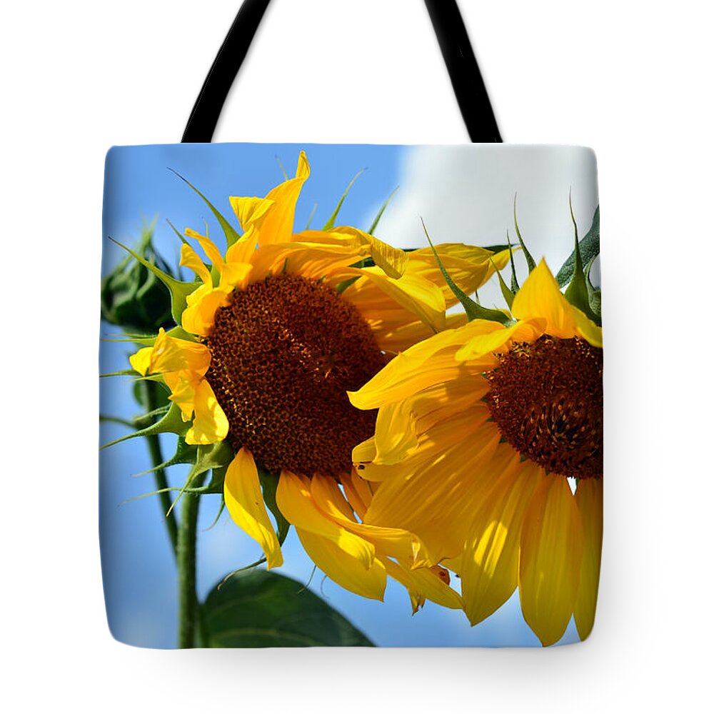 Sun Flowers Tote Bag featuring the photograph Sun Flowers by La Dolce Vita