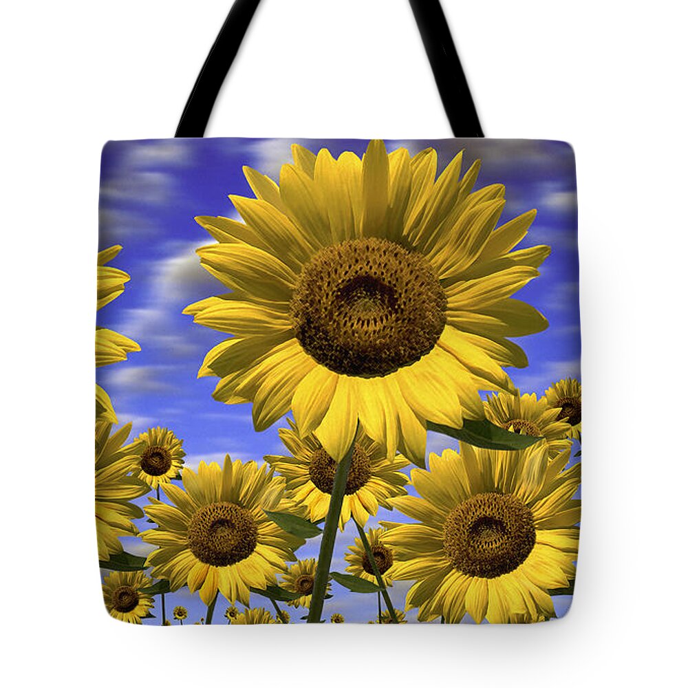 Flowers Tote Bag featuring the photograph Sun Flowers by Mike McGlothlen