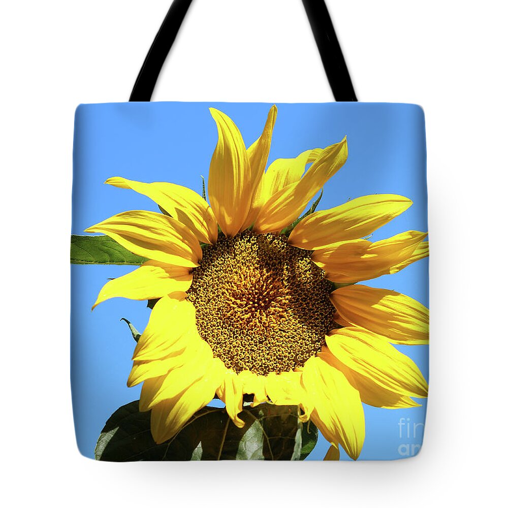 Sun Tote Bag featuring the photograph Sun In The Sky by Wilhelm Hufnagl