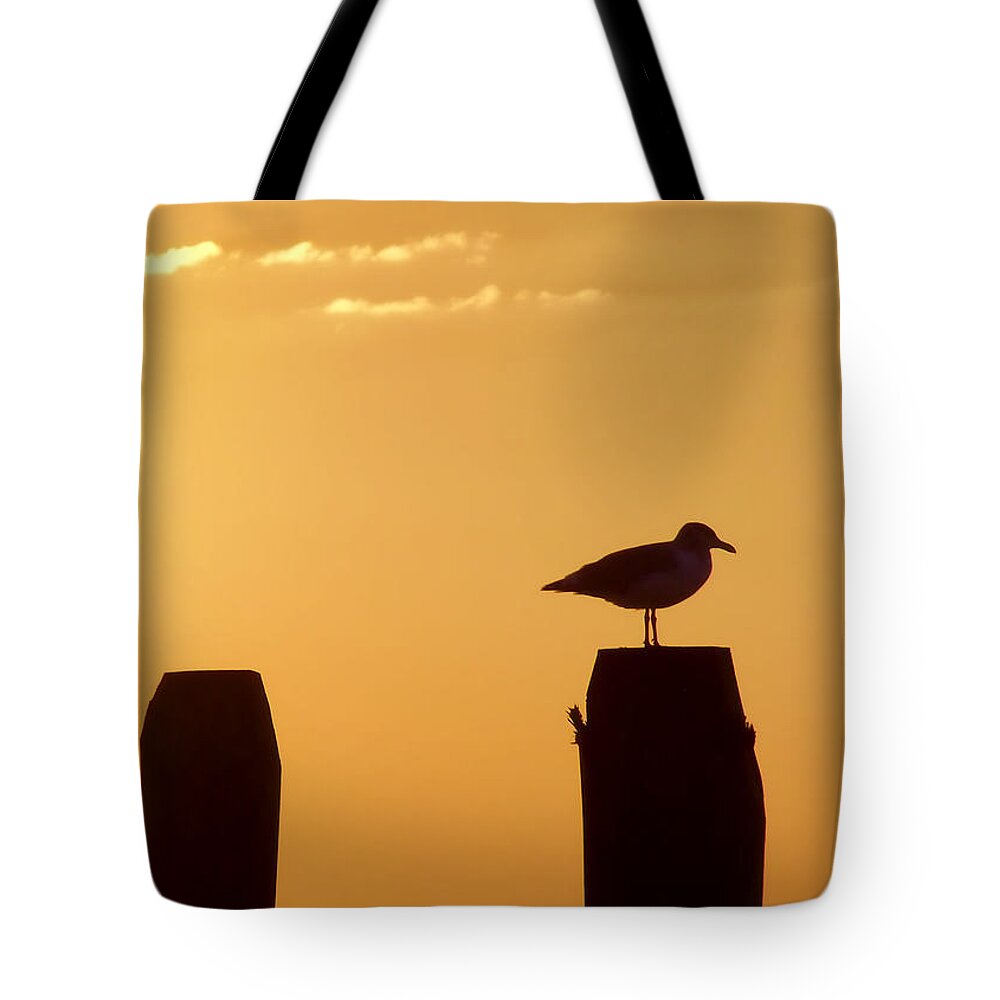 Atlantic Tote Bag featuring the photograph Sun Is Rising by JAMART Photography
