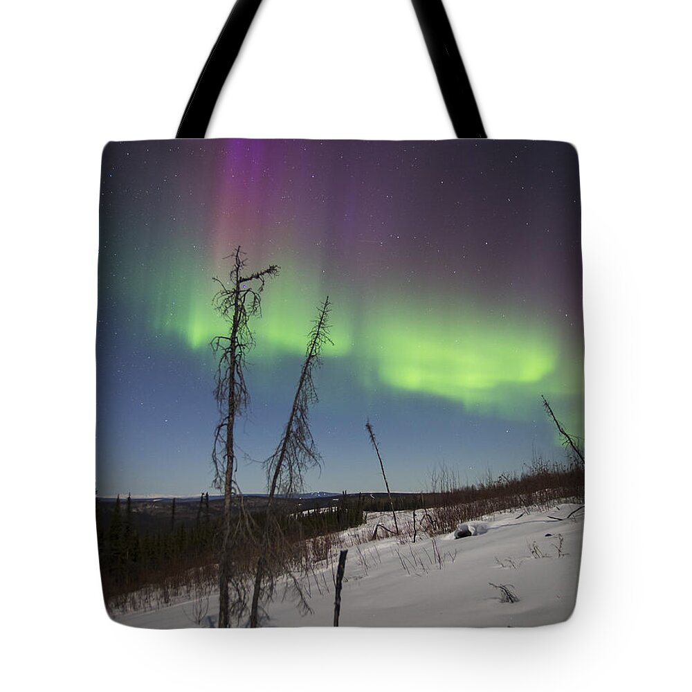 Aurora Borealis Tote Bag featuring the photograph Sun-Kissed Aurora by Ian Johnson
