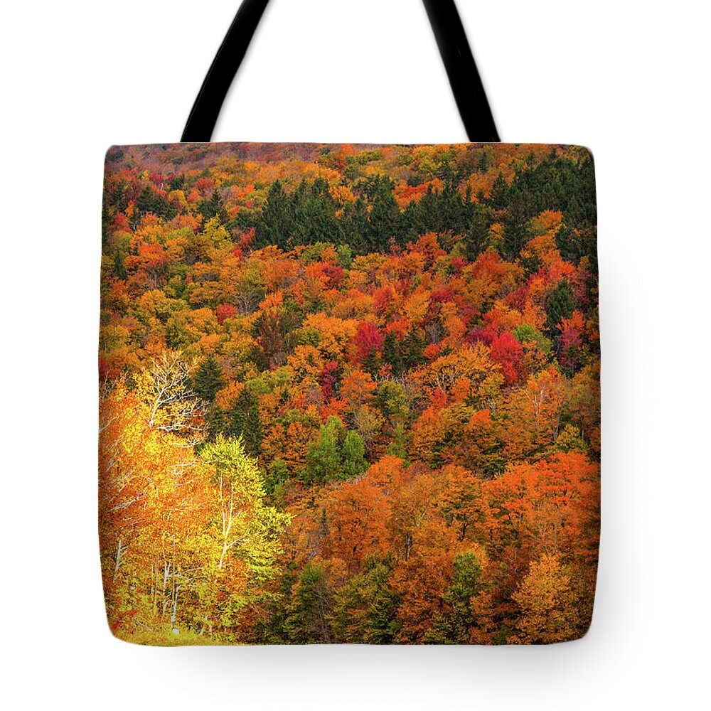 Middlebury Vermont Tote Bag featuring the photograph Sun peeking through by Jeff Folger