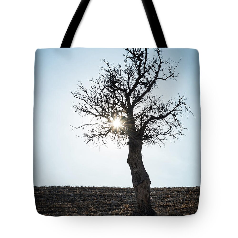 Inspiration Tote Bag featuring the photograph Sun rays and bare lonely tree by Michalakis Ppalis