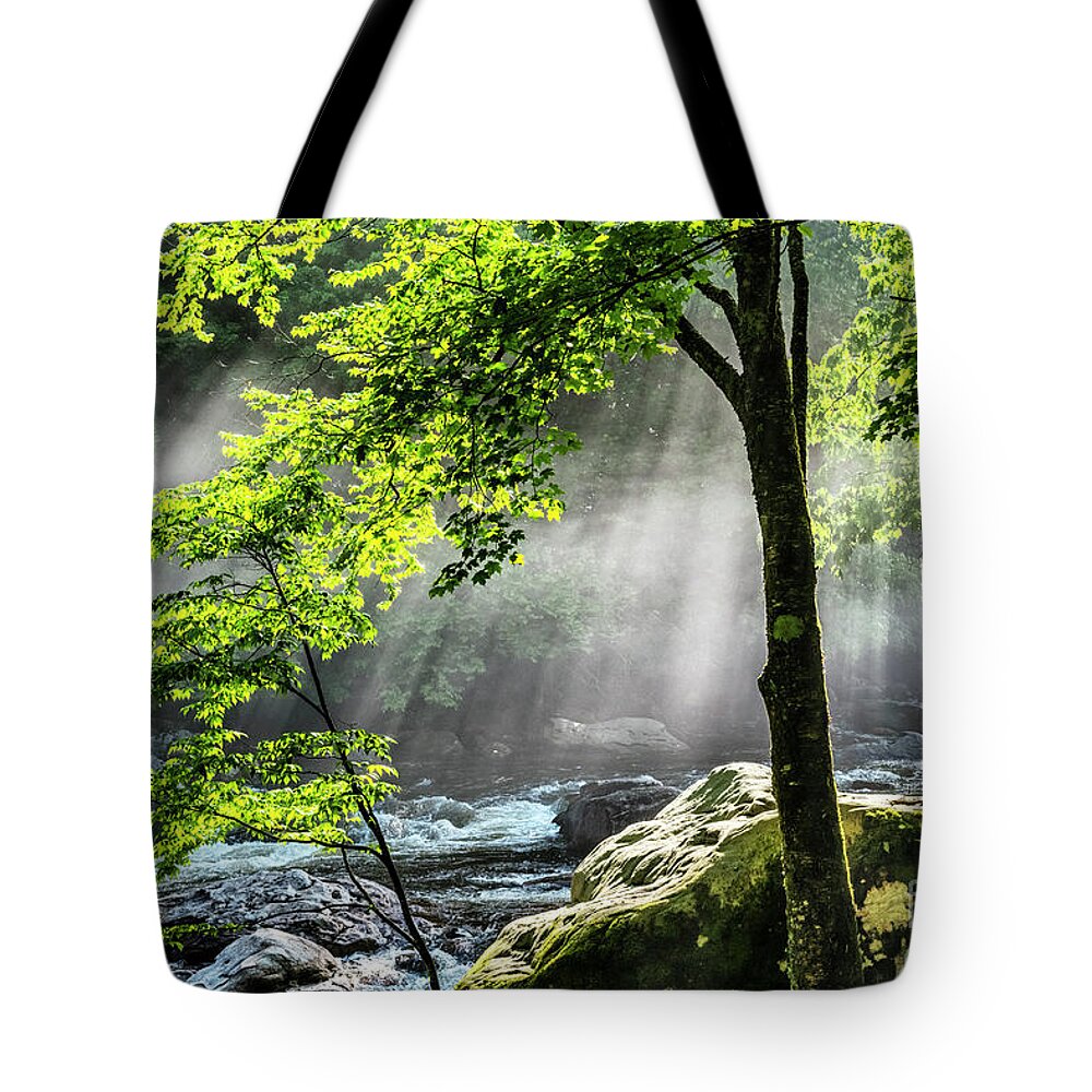 Williams River Tote Bag featuring the photograph Sun Rays on Williams River by Thomas R Fletcher