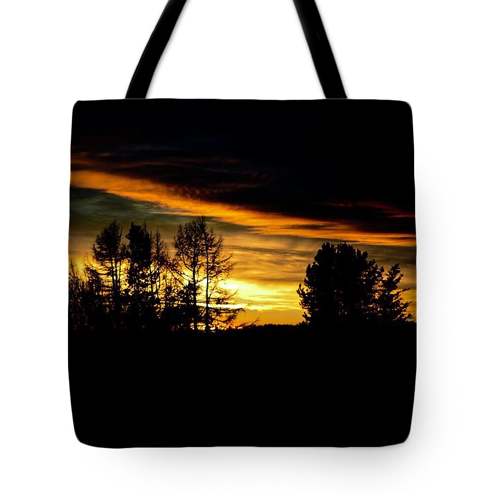  Tote Bag featuring the photograph Sun setting November by Brian Sereda
