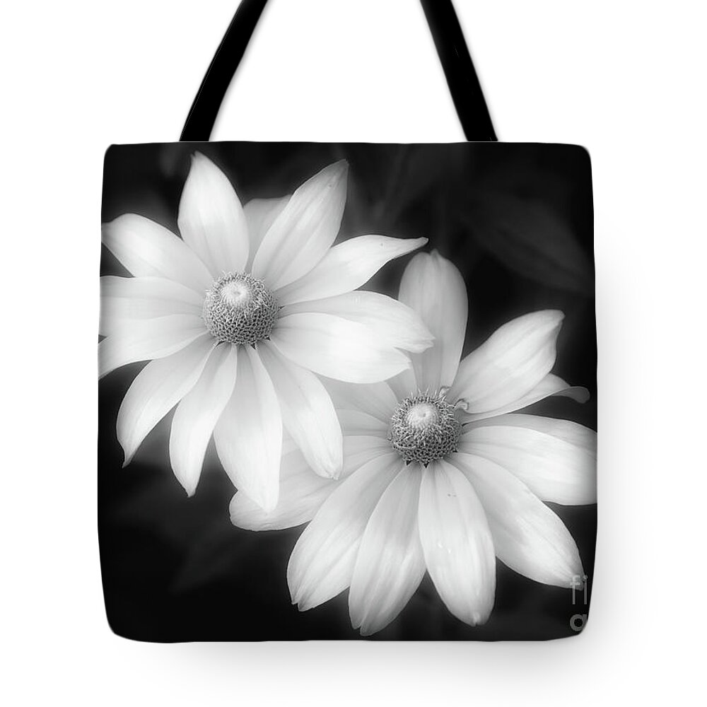 Rudbeckia Tote Bag featuring the photograph Sun Sisters in Black and White by Anita Pollak