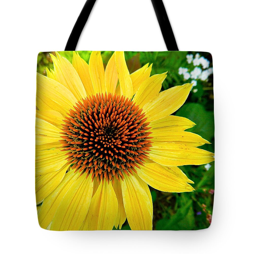 Flowers Tote Bag featuring the photograph Sun Soaked Echinacea by Randy Rosenberger
