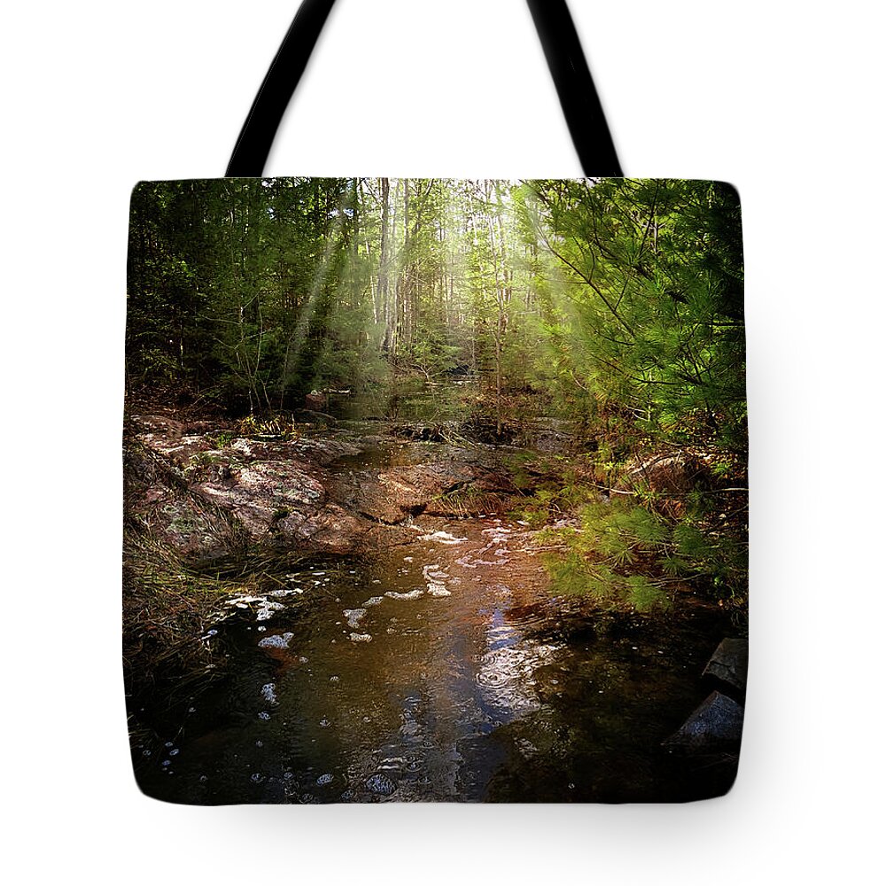 Sunbeams Of Nature Tote Bag featuring the photograph Sunbeams of Nature by Gwen Gibson