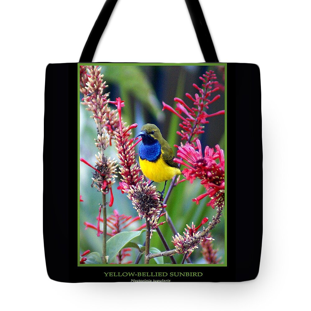 Animals Tote Bag featuring the photograph Sunbird by Holly Kempe