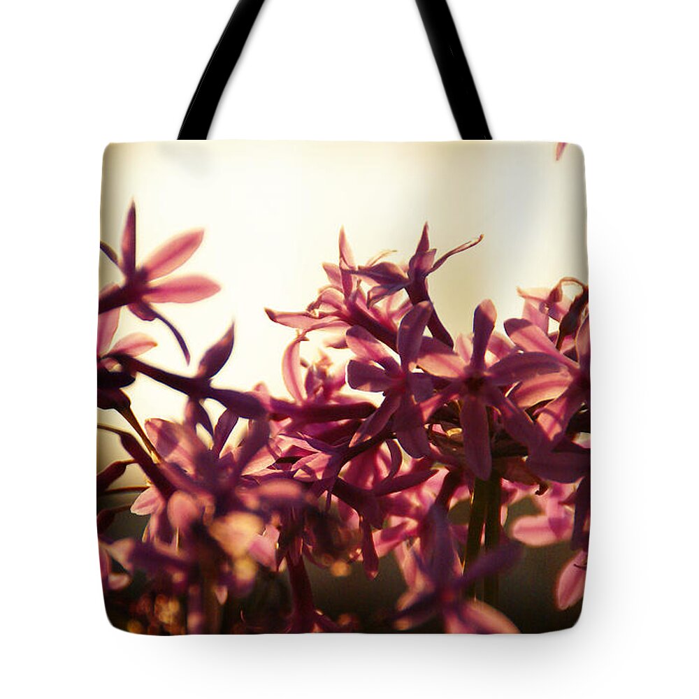 Sunlight Tote Bag featuring the photograph Sundance by Linda Shafer