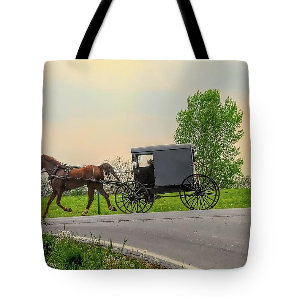 Amish Tote Bag featuring the photograph Sunday Ride at Sunset on Ronks Road by Dyle Warren