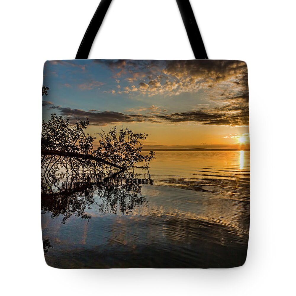 Higgins Lake Tote Bag featuring the photograph Sunday Surprise by Joe Holley