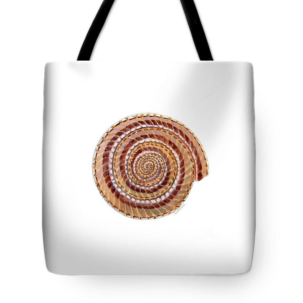 Shell Tote Bag featuring the painting Sundial Shell by Amy Kirkpatrick
