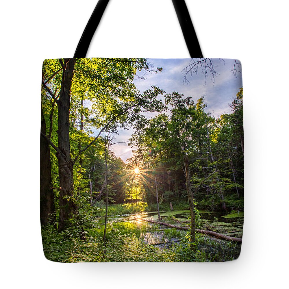 Sun Tote Bag featuring the photograph Sundown at Creekside by Rod Best