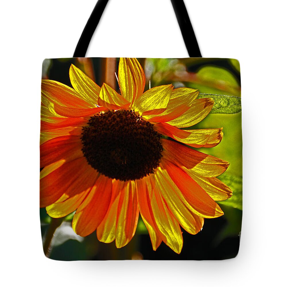 Flower Tote Bag featuring the photograph Sunflower 1 by David Frederick