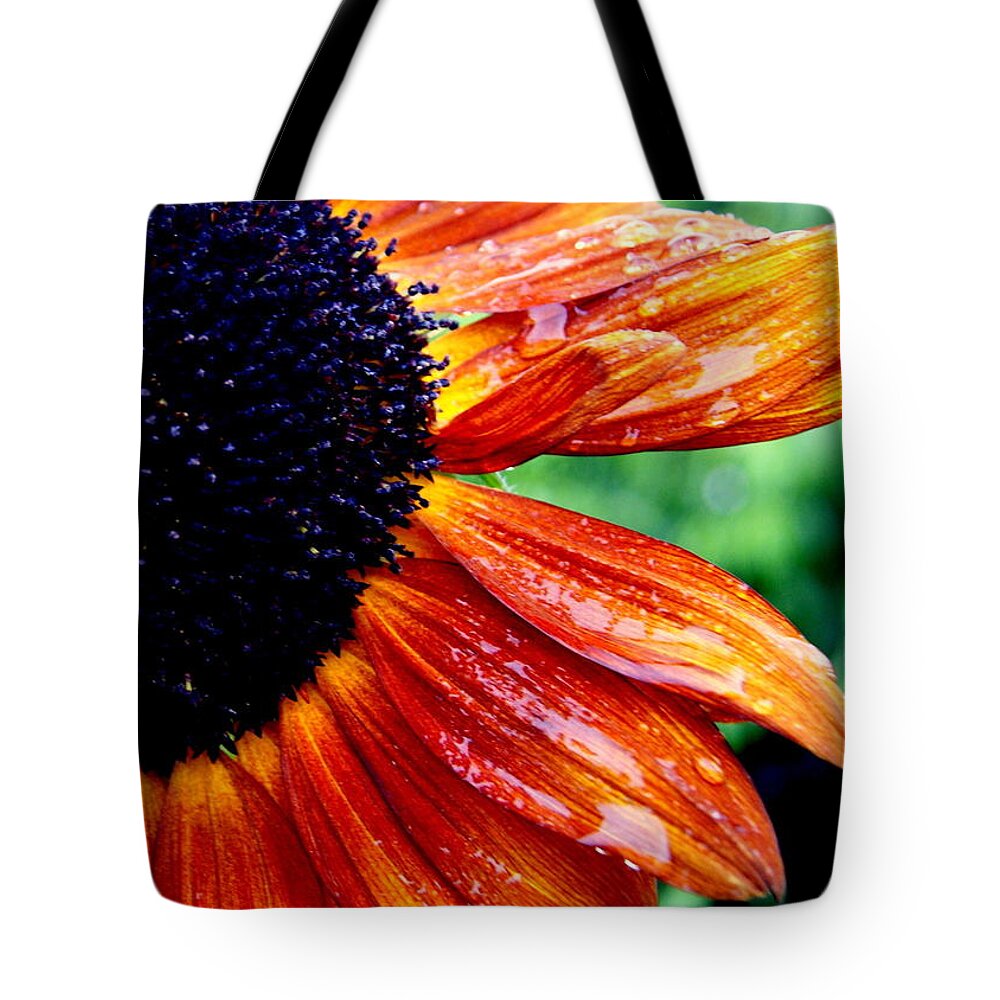 Sunflower Tote Bag featuring the photograph Sunflower and Raindrops by Beth Collins