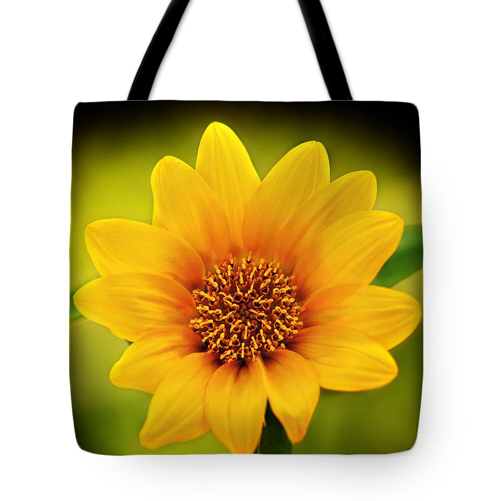 Sunflower Print Tote Bag featuring the photograph Sunflower Baby Print by Gwen Gibson