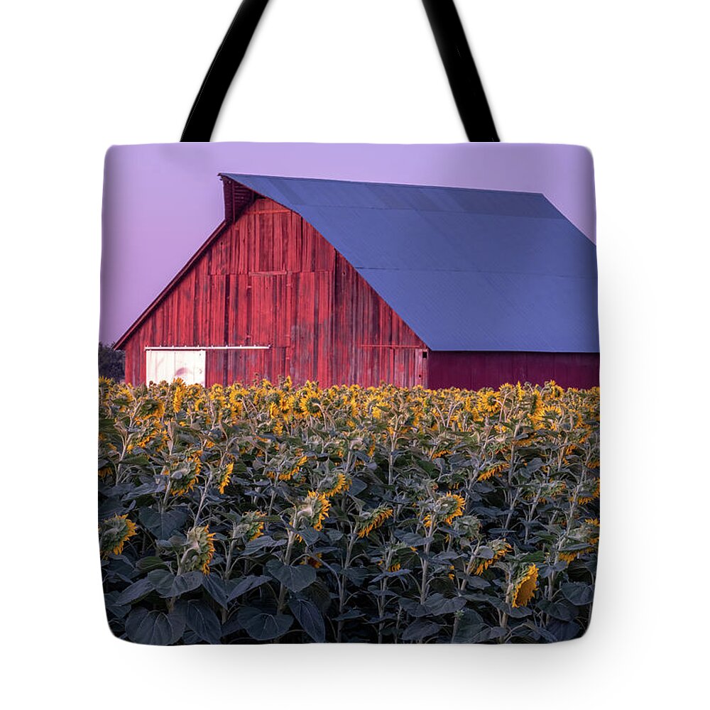 Sunflowers Tote Bag featuring the photograph Sunflower Barn by Robin Mayoff