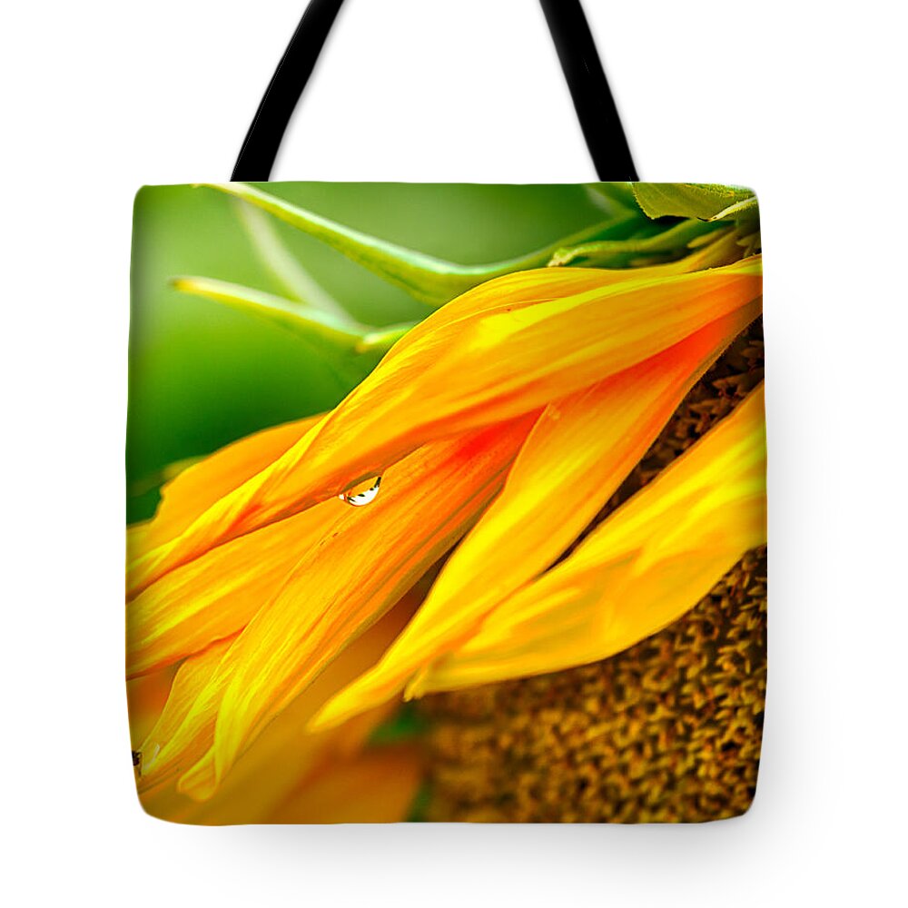 Maryland Tote Bag featuring the photograph Sunflower Close Up by Leah Palmer