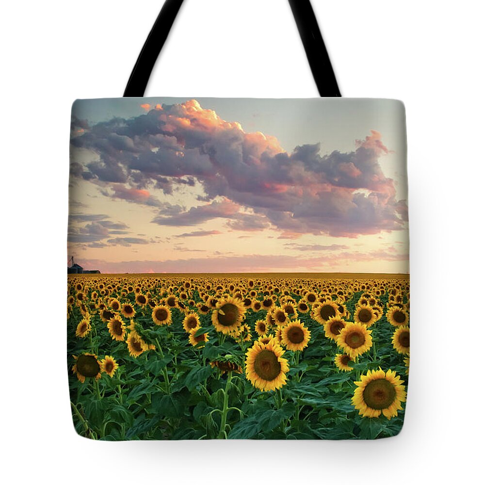 Colorado Tote Bag featuring the photograph Sunflower Clouds by John De Bord