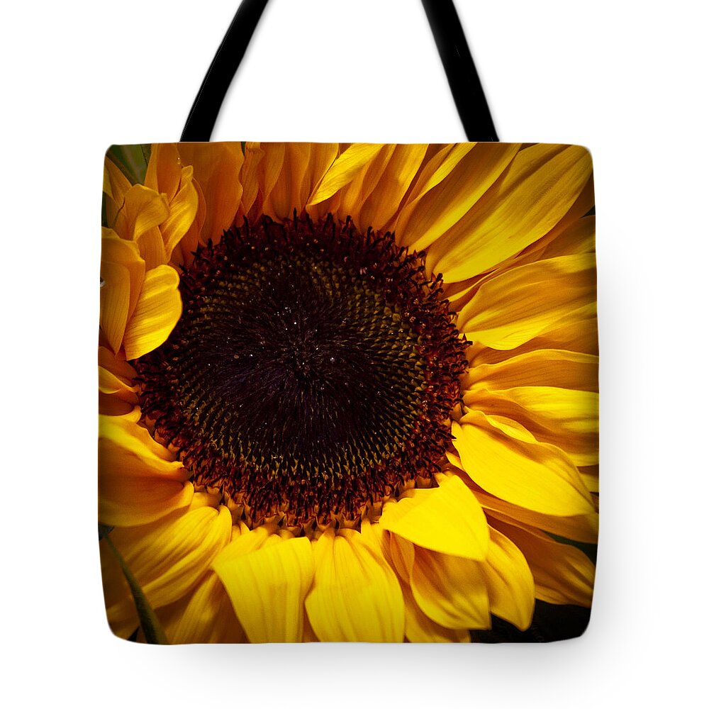 Sunflower Tote Bag featuring the photograph Sunflower by David Patterson