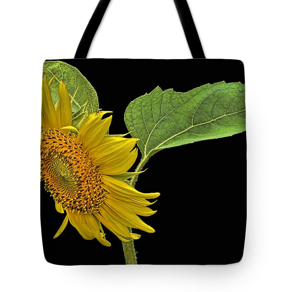 Sunflower Tote Bag featuring the photograph Sunflower by Don Durfee
