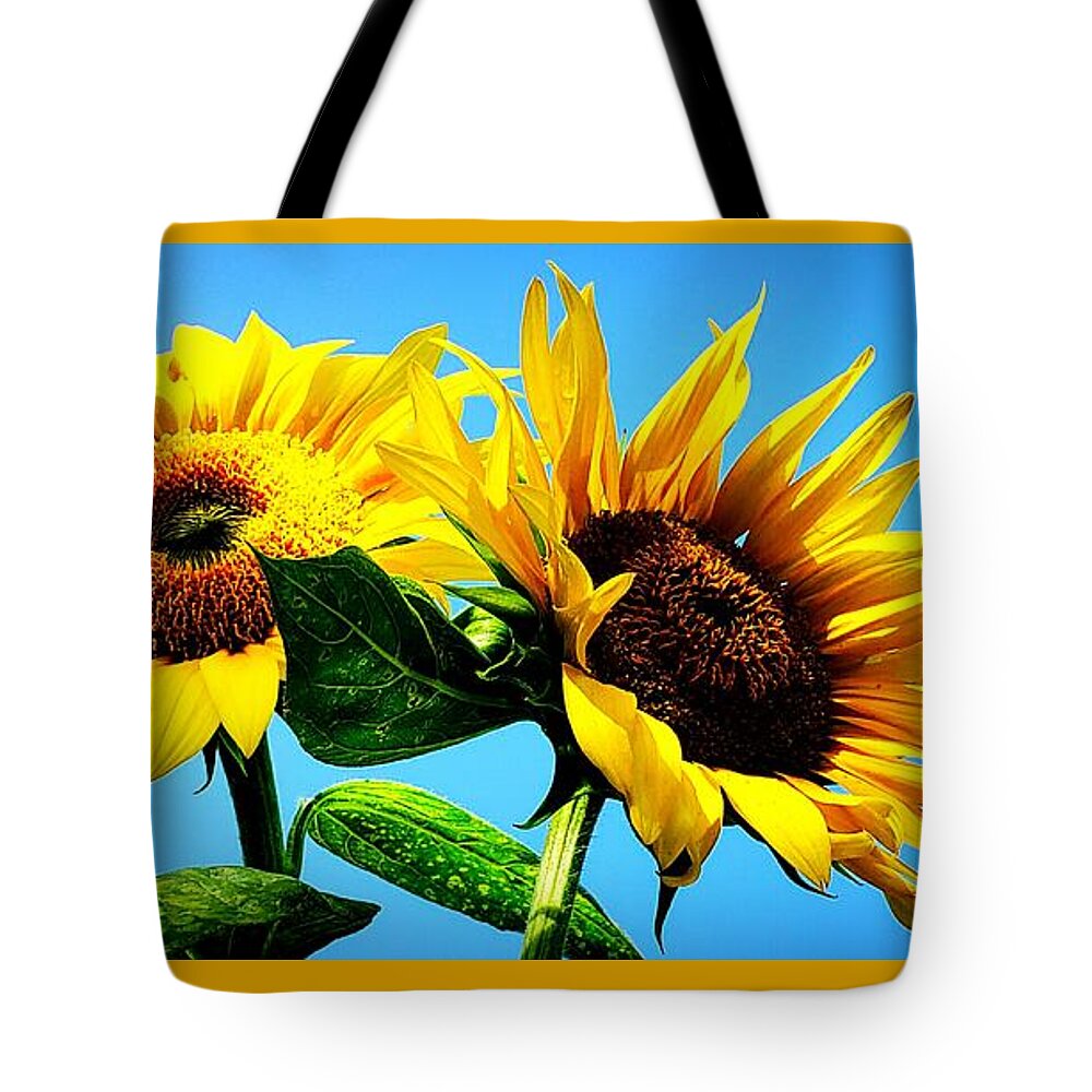 Floral Tote Bag featuring the photograph Sunflower Duo by Alexis King-Glandon