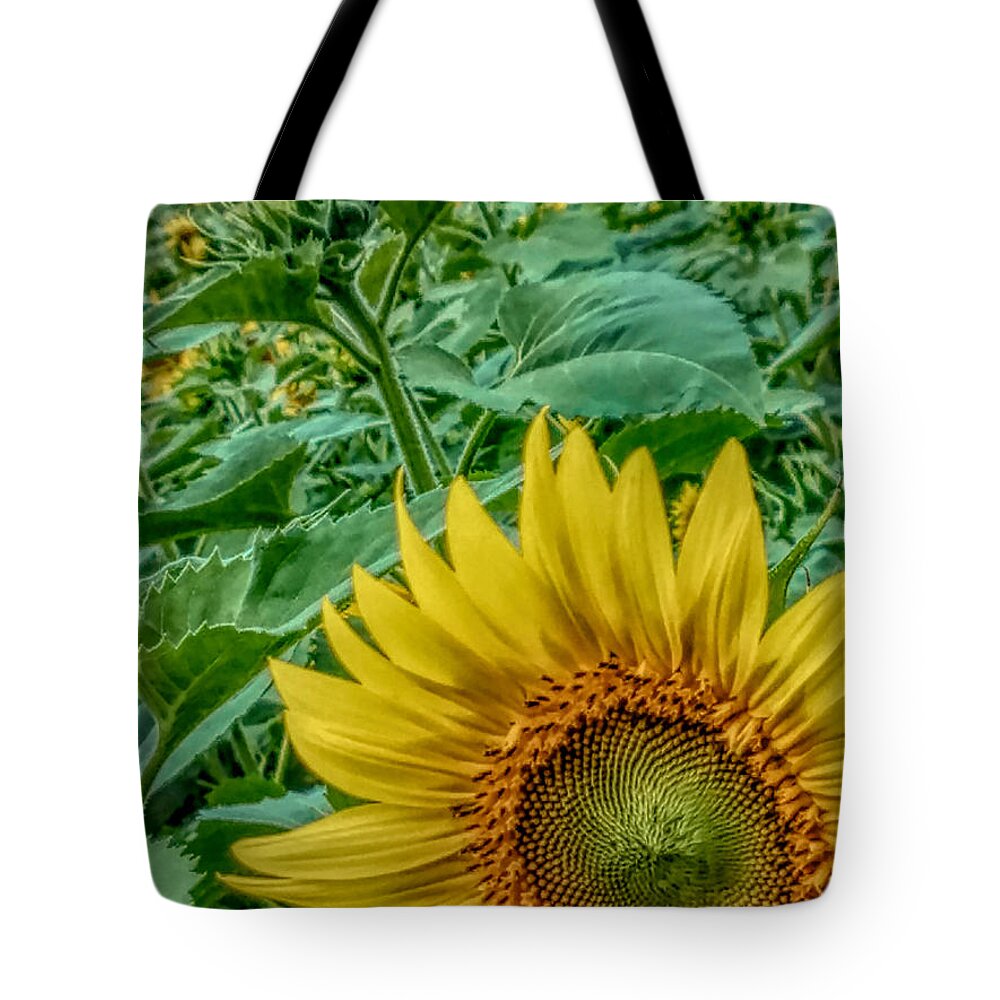 Sunflower Tote Bag featuring the photograph Sunflower Field by ChelleAnne Paradis