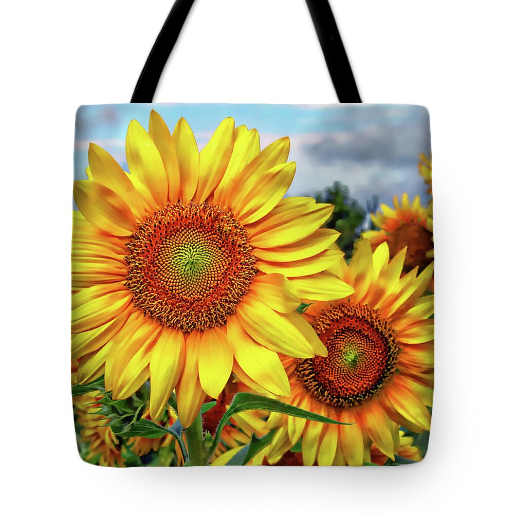 Sunflower Tote Bag featuring the photograph Sunflower Field by Jessica Brawley