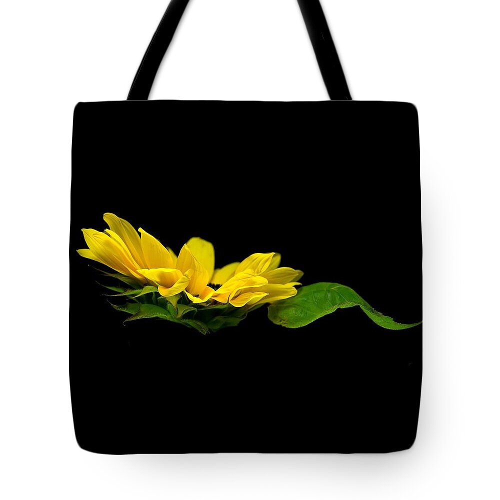 Sunflower Tote Bag featuring the photograph Sunflower Float by Elsa Santoro