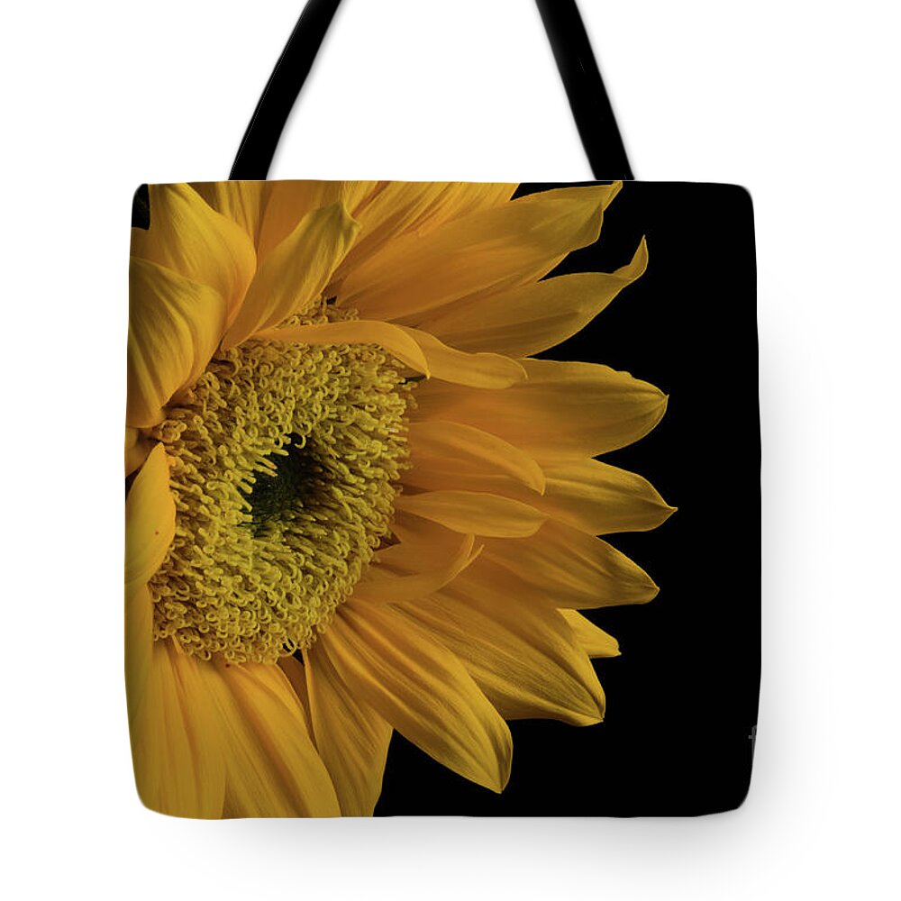 Sunflower Tote Bag featuring the photograph Yellow Sunflower from Left on Black Nature / Botanical / Floral Photograph by PIPA Fine Art - Simply Solid