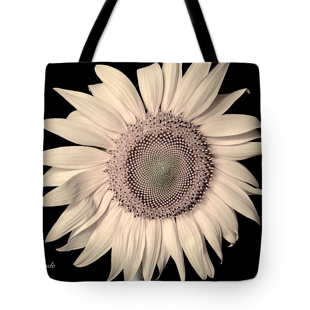 Art Tote Bag featuring the photograph Sunflower in Soft Creams by Jeannie Rhode