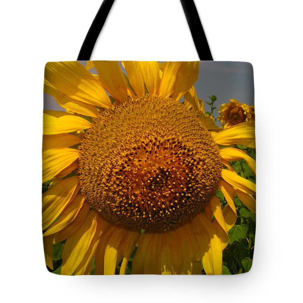 Sunflower Tote Bag featuring the photograph Sunflower by Leah Mihuc