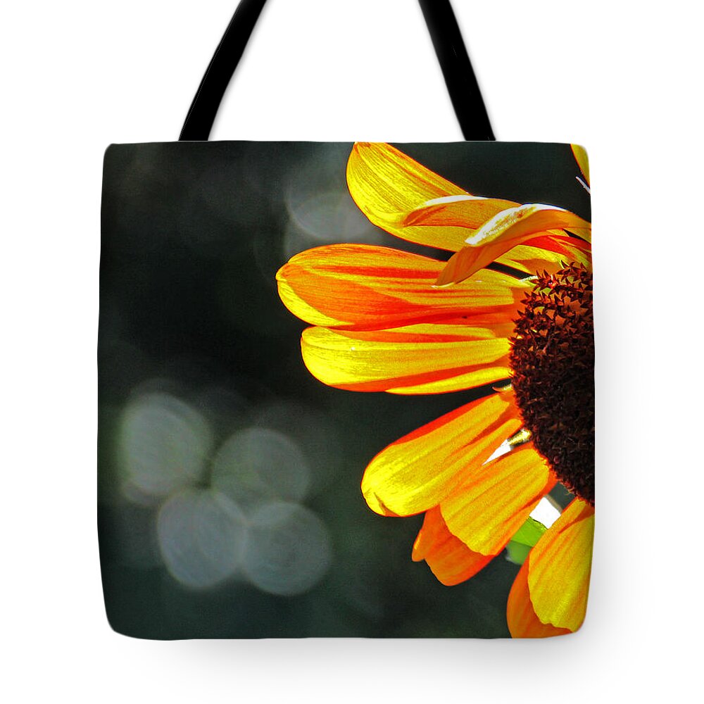 Sunflower Tote Bag featuring the photograph Sunflower Looking around the corner by David Frederick
