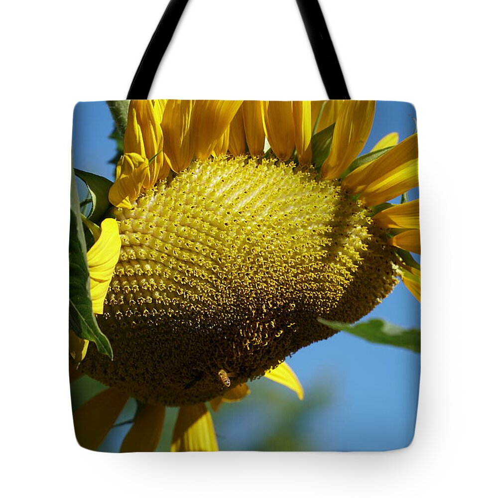 Sunflower Honeybee Tote Bag featuring the photograph Sunflower, Mammoth with Bees by Stephen Daddona