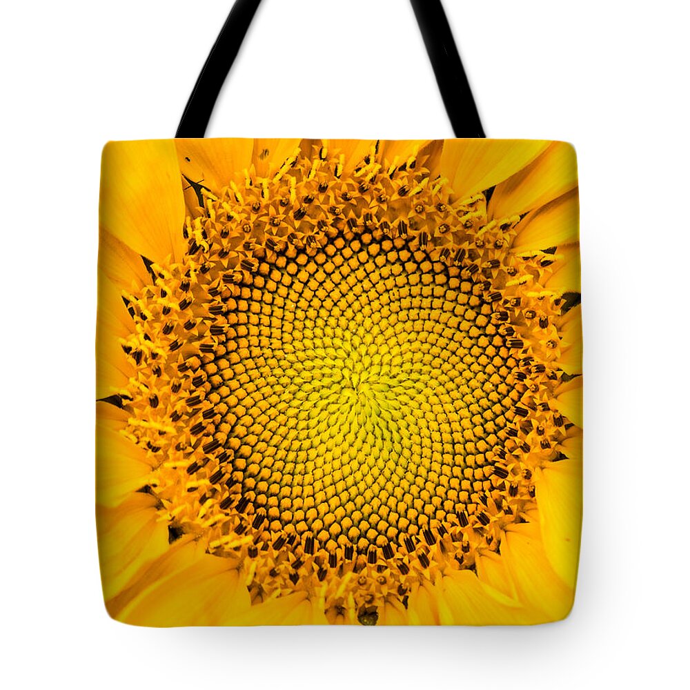 Sunrise Tote Bag featuring the photograph Sunflower Mandala by Mindy Musick King