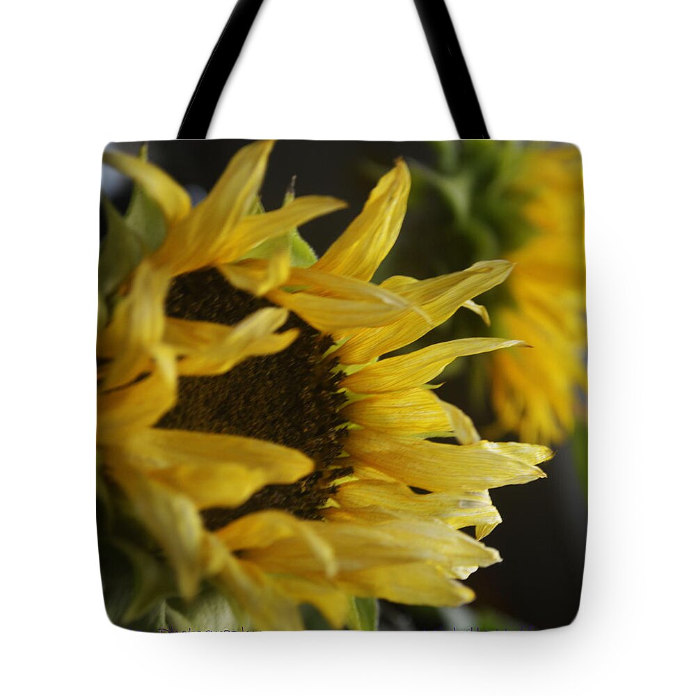  Tote Bag featuring the photograph Sunflower by Michelle Hoffmann