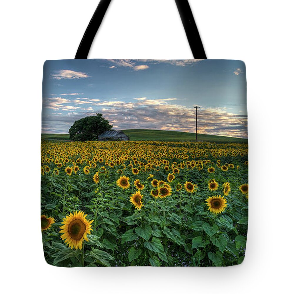 Sunflowers Tote Bag featuring the photograph Sunflower Panorama by Mark Kiver