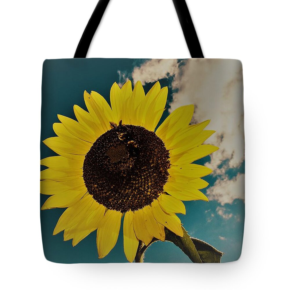 Sun Tote Bag featuring the photograph Sunflower by Randy Sylvia