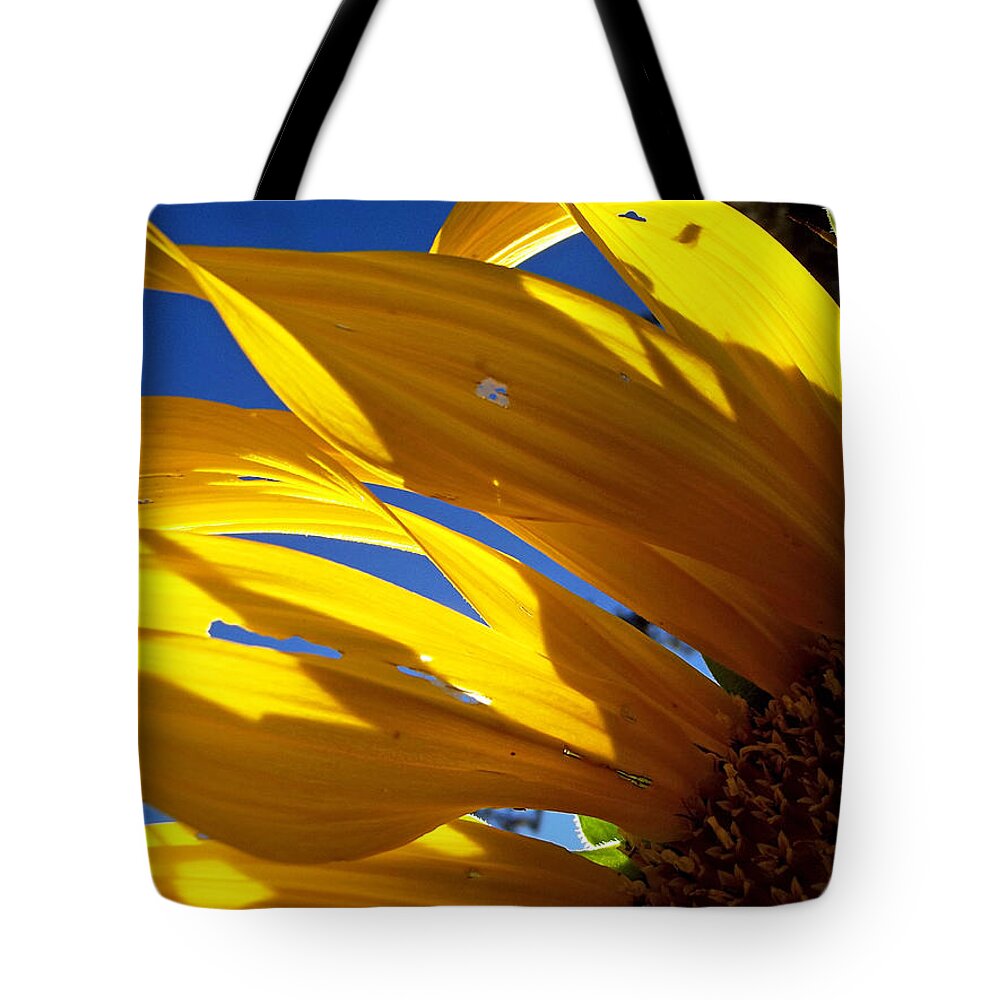 Flowers Tote Bag featuring the photograph Sunflower Shadows by Harold Zimmer