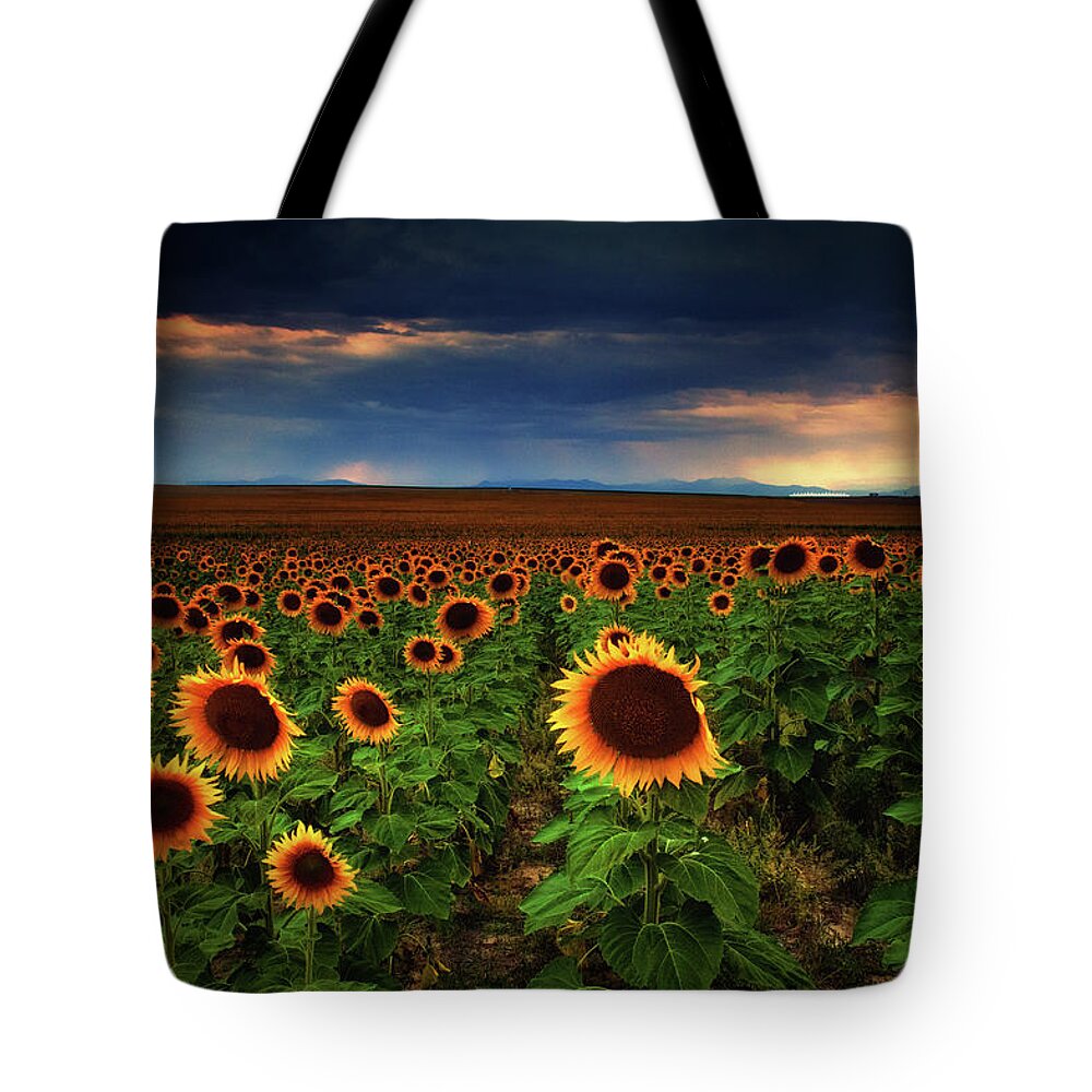 Colorado Tote Bag featuring the photograph Sunflower Storms by John De Bord