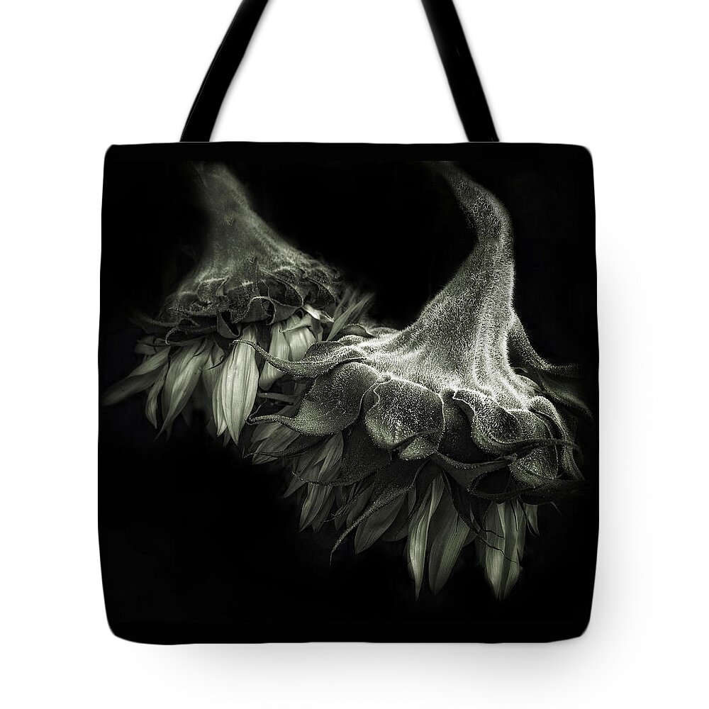 Flowers Tote Bag featuring the photograph Sunflower Tango by Jessica Jenney