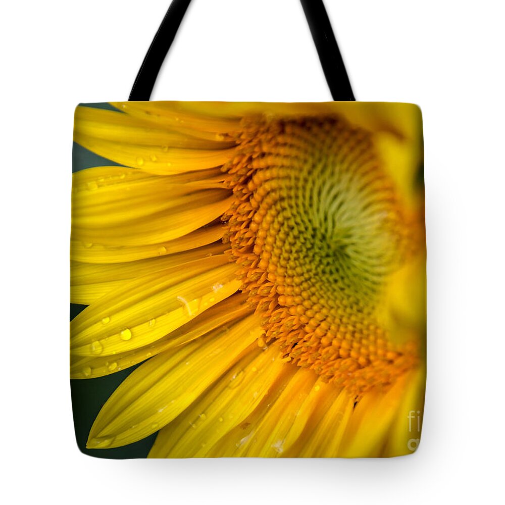 Sunflower Tote Bag featuring the photograph Sunflower by Viviana Nadowski