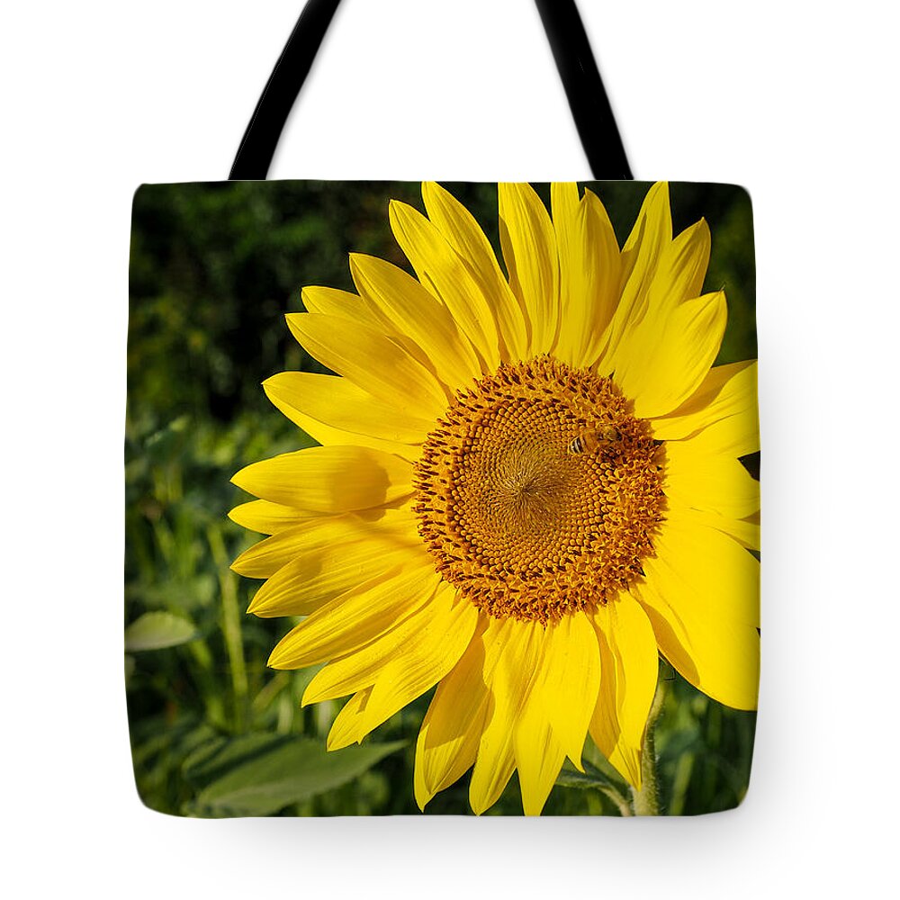 Sunflower Tote Bag featuring the photograph Sunflower with Bee by Paula Ponath