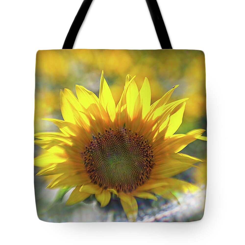 Flower Tote Bag featuring the photograph Sunflower with Lens Flare by Natalie Rotman Cote