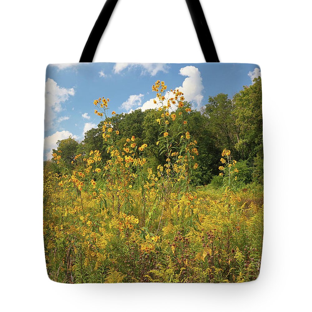 Flower Tote Bag featuring the photograph Sunflowers and Goldenrod by Scott Kingery