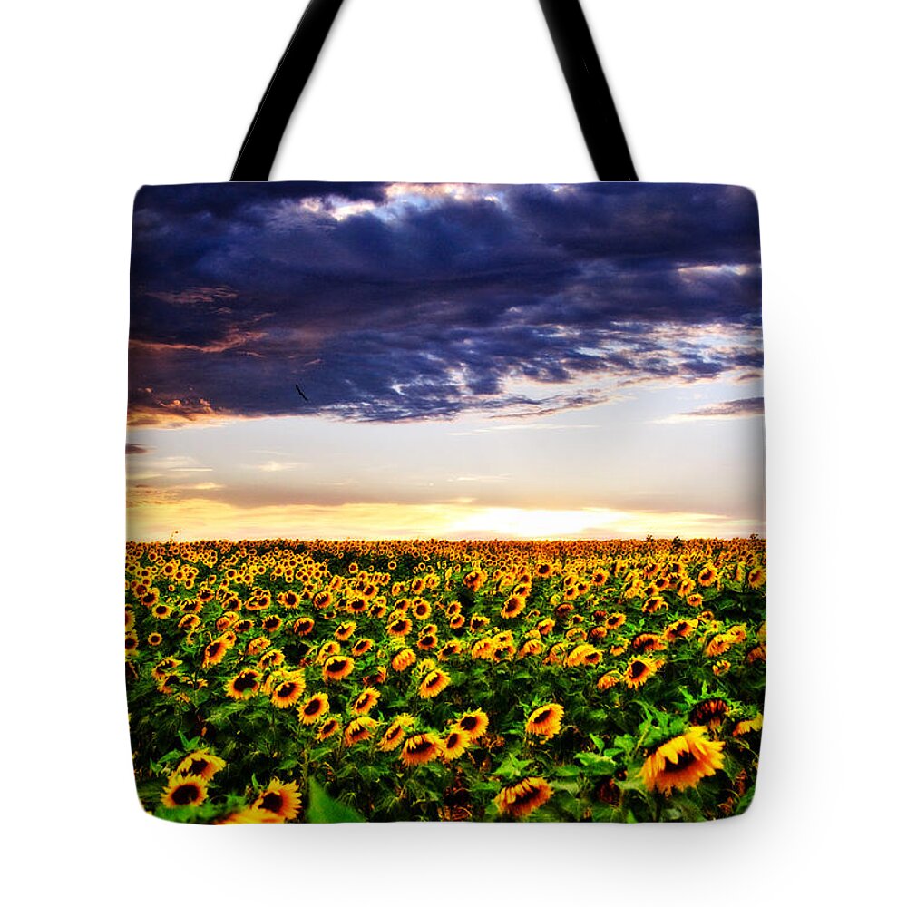 Clouds Tote Bag featuring the photograph Sunflowers at Sunset by Eric Benjamin